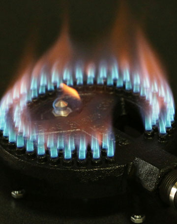 Natural Gas Systems